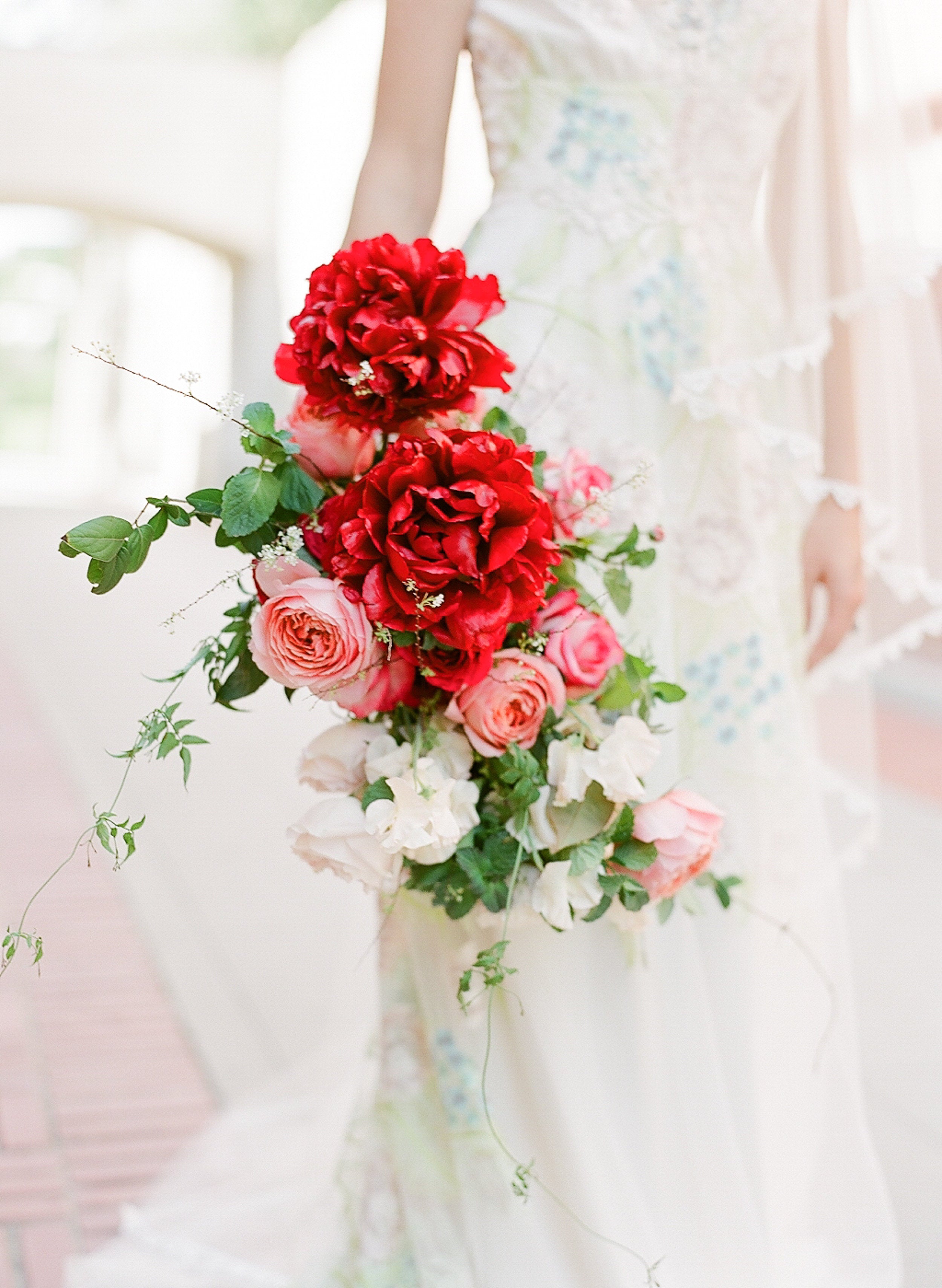 Vibrant Blooms