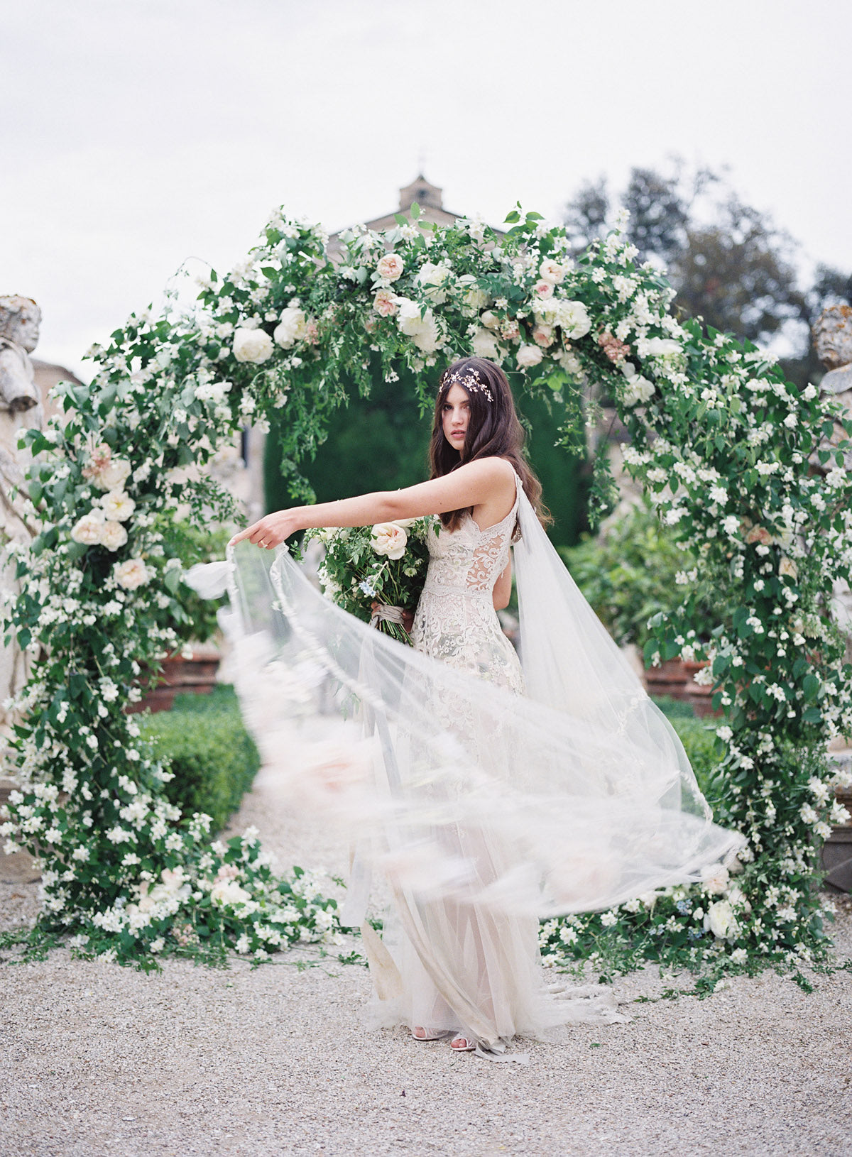 In Bloom with Desert Rose