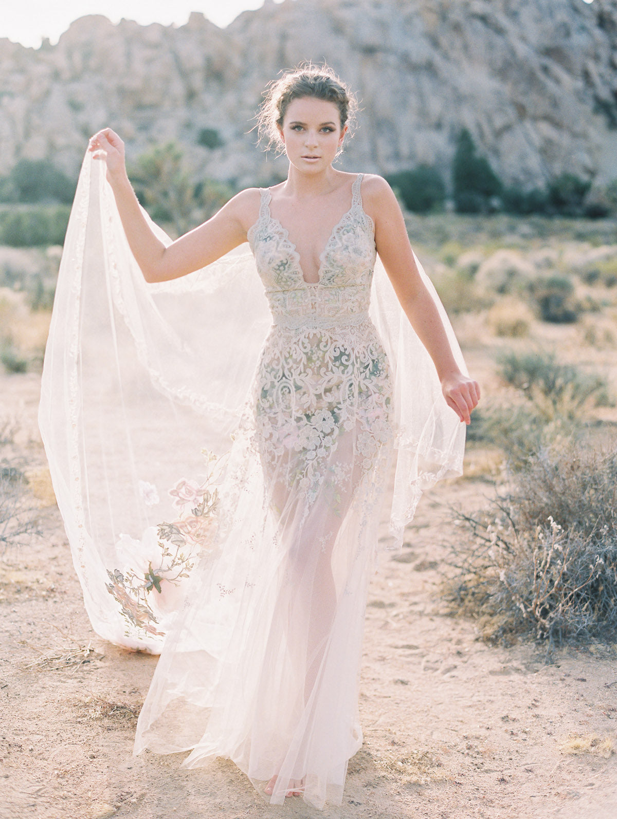 A Rose in the Desert