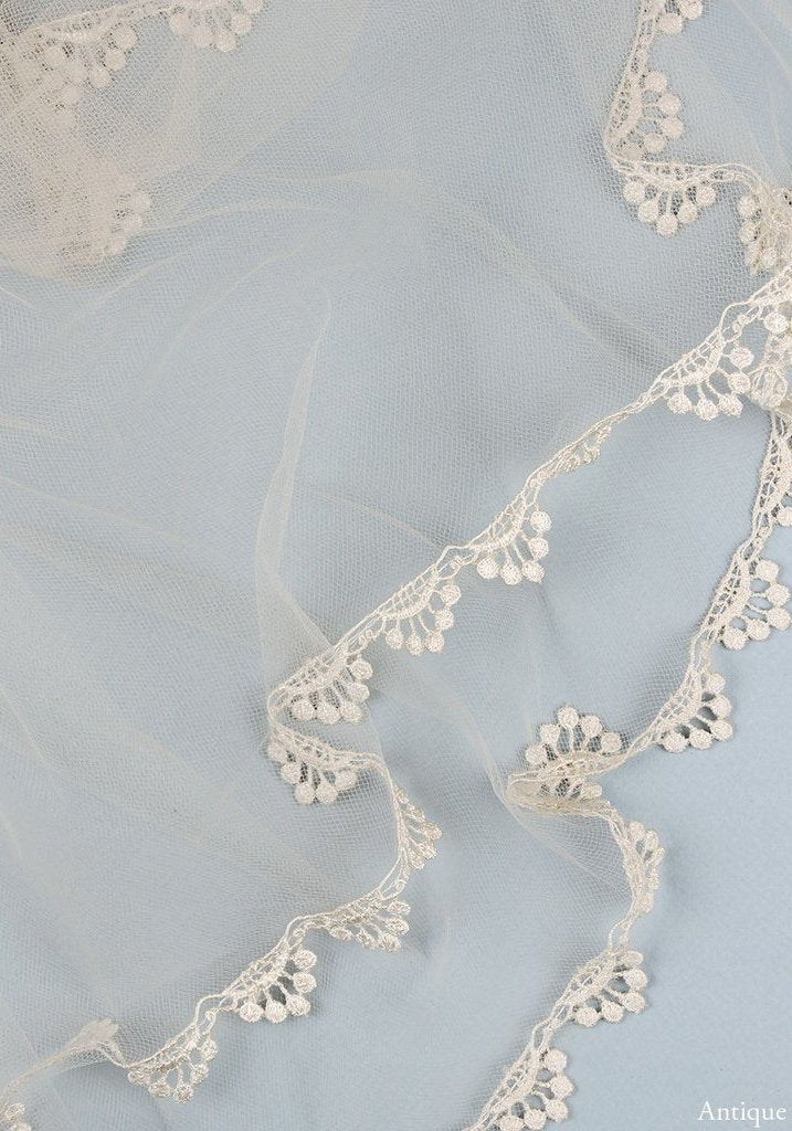 Lace trim veil