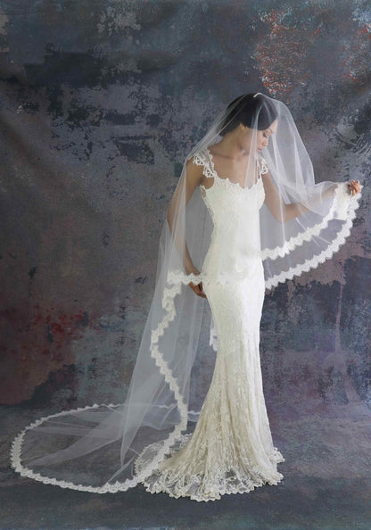 1T Tulle with Lace Wedding Bridal Veil Cathedral Length