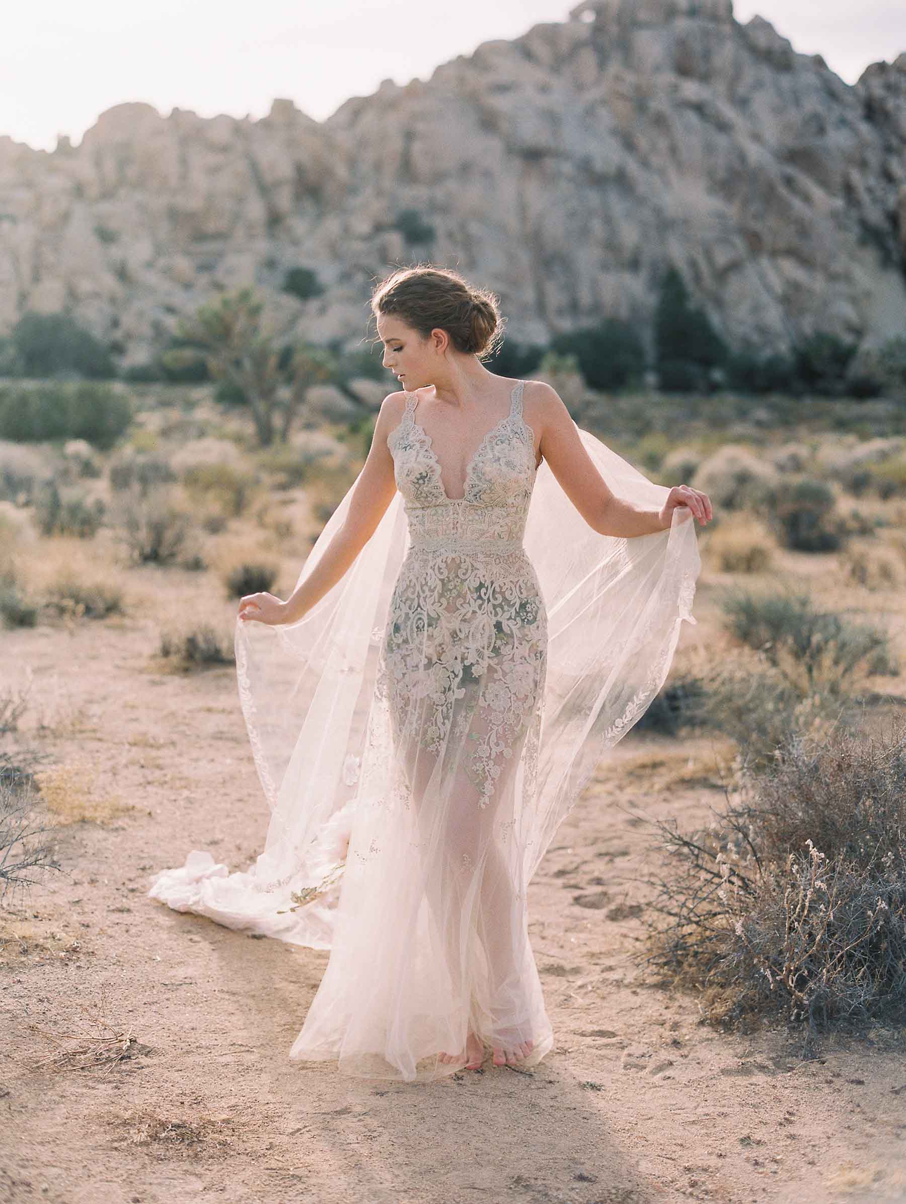 Desert Rose Luxurious Lace and Embroidery A-line Wedding Dress