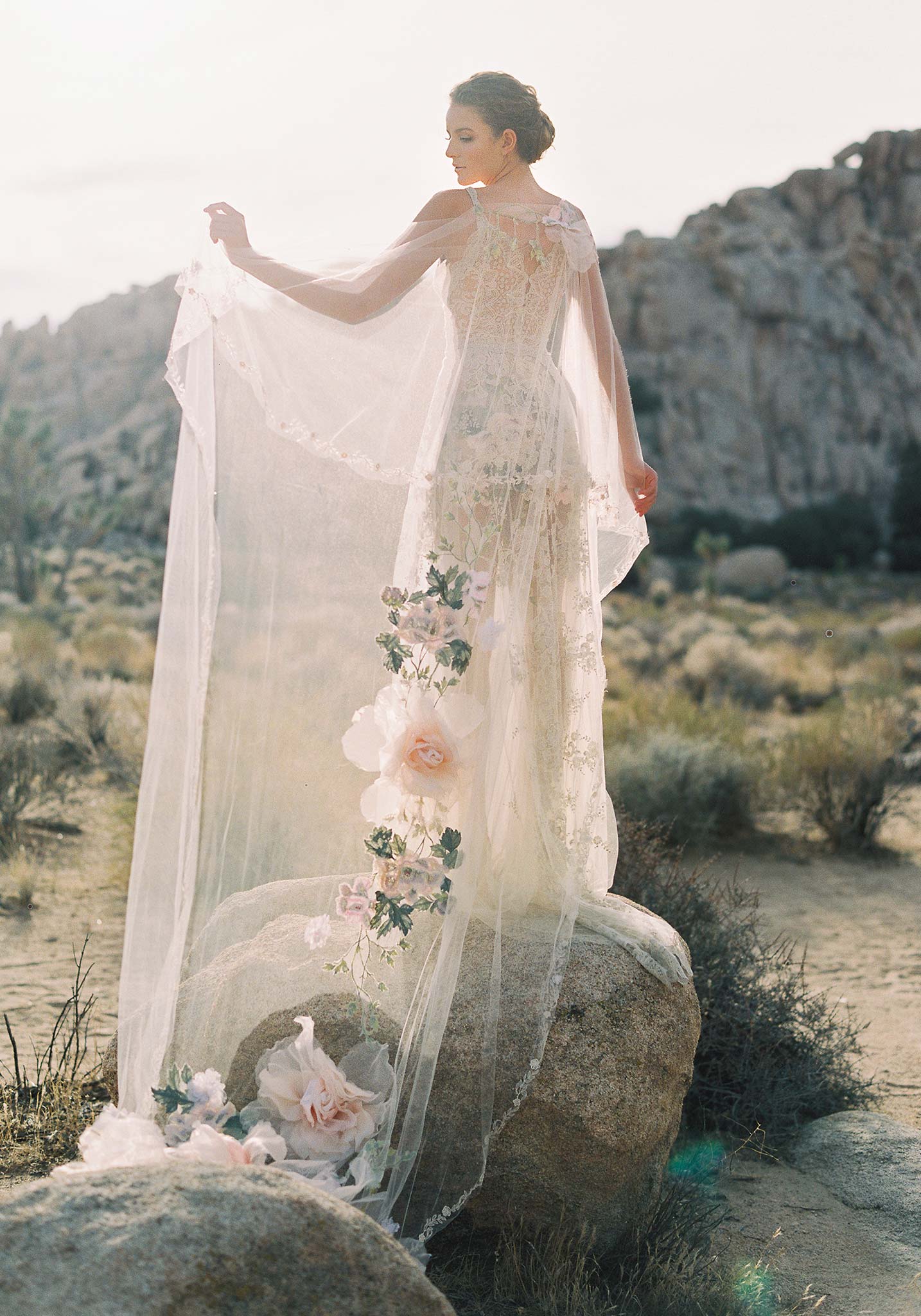 Desert Rose Luxurious Lace and Embroidery A-line Wedding Dress Desert Rose Luxurious Lace and Embroidery A-line Wedding Dress