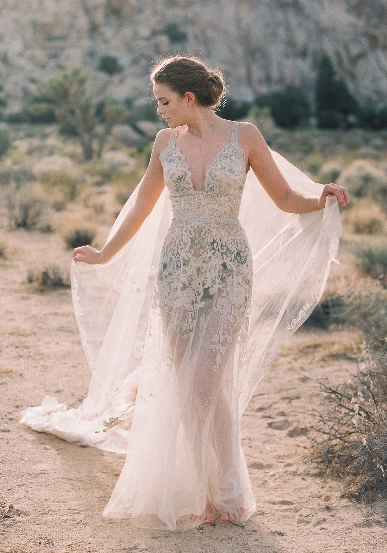 Desert Rose Luxurious Lace and Embroidery A-line Wedding Dress